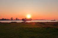 Ondergaande zon in de Rotterdamse haven van Capture the Moment 010 thumbnail
