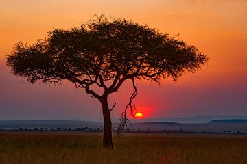 Zonsondergang Mara van Peter Michel