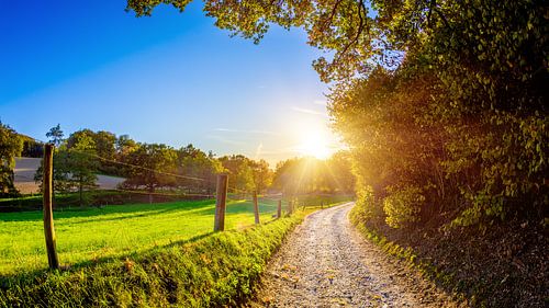 Herbstliche Landschaft bei Sonnenuntergang