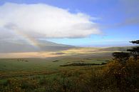 Ngorongoro-Regenbogen von BL Photography Miniaturansicht