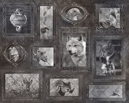 Vintage Animal Love