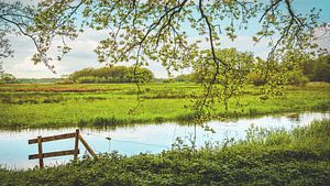 Drentsche Aa