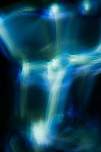 Blauwe en Witte Hersengolven