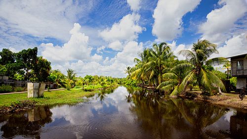Plantation Bakkie in Suriname