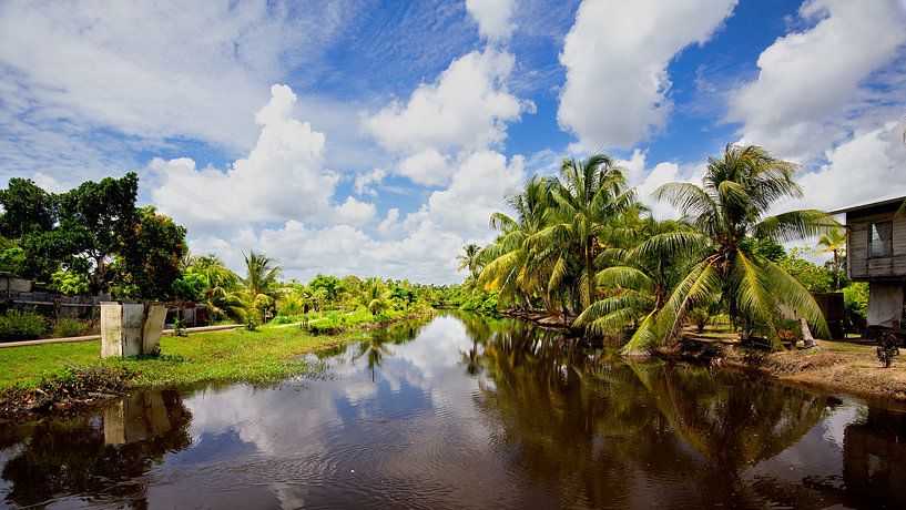 Plantation Bakkie au Suriname par René Holtslag