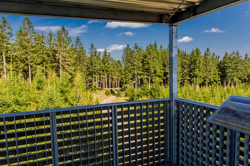 Prachtig wandelparadijs op de Rennsteig