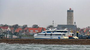 Ms. Tiger in haven West