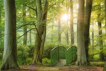 Die Brücke ins Grün von Lars van de Goor