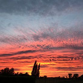 Fire in the sky by Katoo V