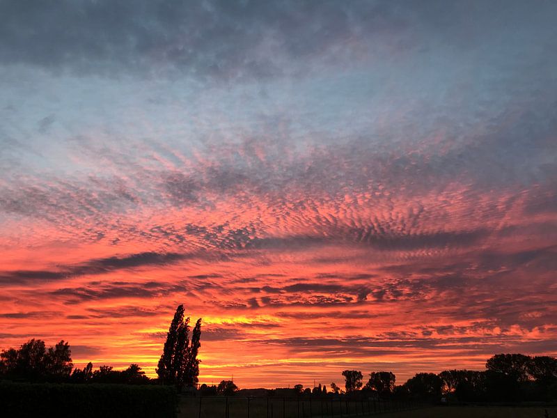 Feuer am Himmel von Katoo V