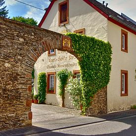 Een romantische wijngaard in Brauneberg aan de Moezel van Berthold Werner