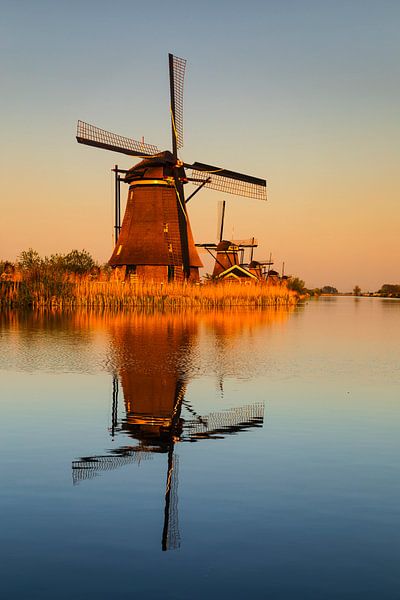 Windmühlen bei Sonnenaufgang, Kinderdijk, Niederlande von Markus Lange