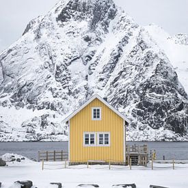 Vissershuisje op de Lofoten van Heleen Middel