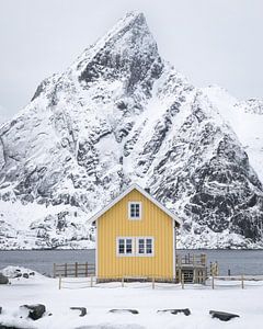 Fischerhütte auf den Lofoten von Heleen Middel