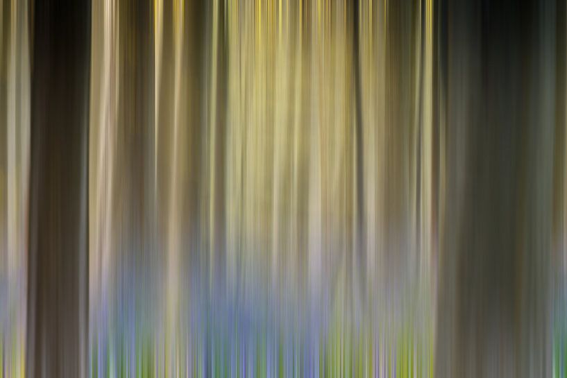 Hallerbos Abstract van Menno Schaefer