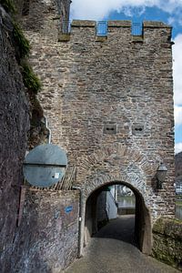 Rijksburcht Cochem