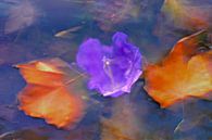 Herfst  bloem en bladeren van Marianna Pobedimova thumbnail