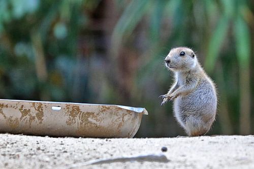 Are you talking to me?