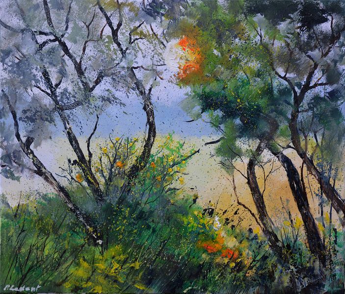 Sonnenaufgang von pol ledent