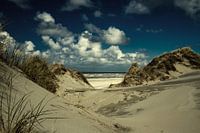 Formation de dunes sur Ameland.