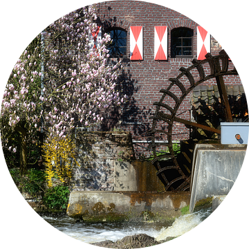 Watermolen op de Schwalm in Brüggen