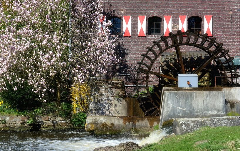 Watermolen op de Schwalm in Brüggen van Peter Eckert