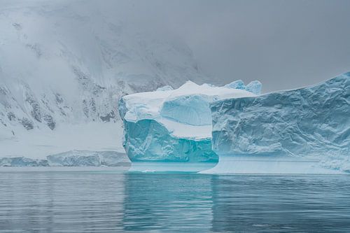 Ijsbergen Antarctica