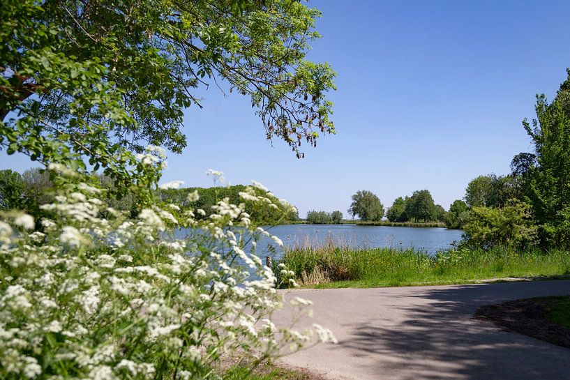 Magnifique paysage hollandais au printemps par Miranda van Hulst