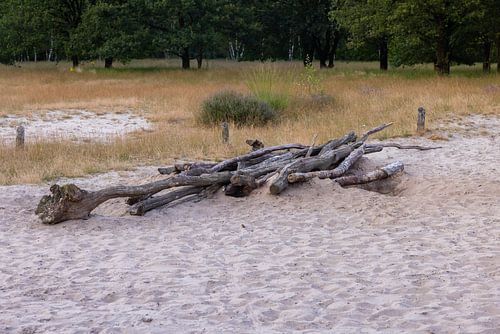 Sand flat Amerongse Berg
