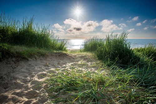 Bloemendaal by the sea traversée de dunes