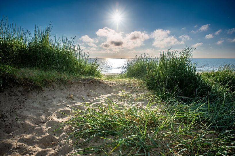 Bloemendaal am Meer Dünenüberquerung von Bill hobbyfotografie