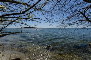 Am Ufer in der Goor, Insel Vilm, Lauterbach auf Rügen