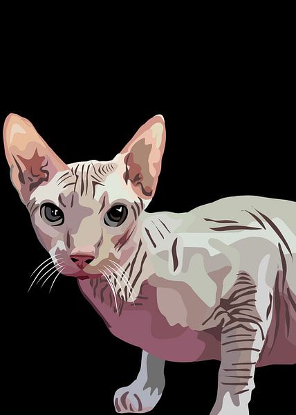 Sphynx Katze in Vektor von IHSANUDDIN .