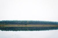 forêt