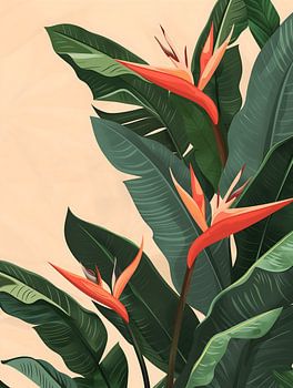 Bird of paradise plant