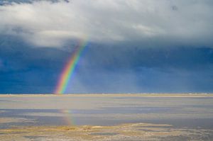 Regenboog op het strand van Texel in de Waddenzee van Sjoerd van der Wal Fotografie