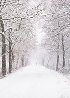 De Narnia wandeling: verloren in sneeuw en tijd