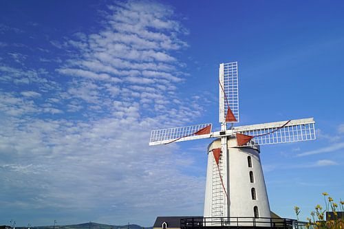 De Blennerville Windmolen