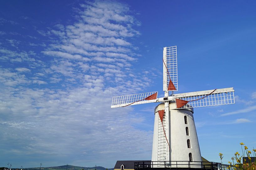 De Blennerville Windmolen van Babetts Bildergalerie