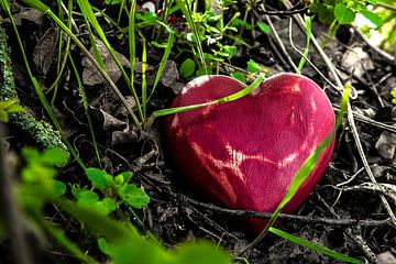 Amour = caché dans le sous-bois sur Norbert Sülzner