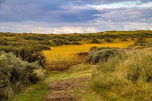 De Hors Texel von Texel360Fotografie Richard Heerschap