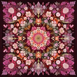 Mandala sur Niklas Maximilian