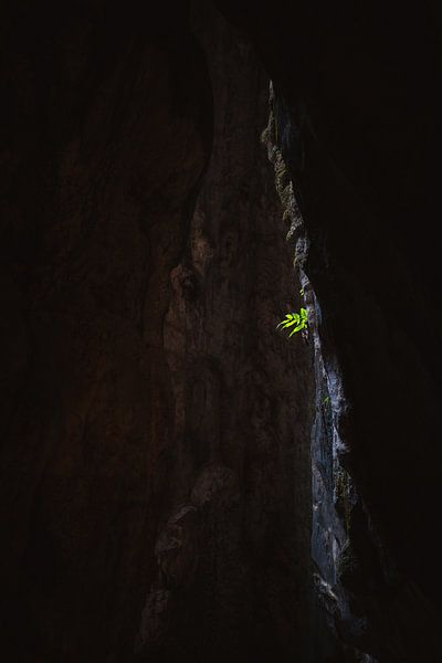 Batu Caves van Rene scheuneman