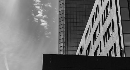 Größe von Mauro De Coster