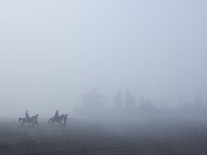 Im Nebel
