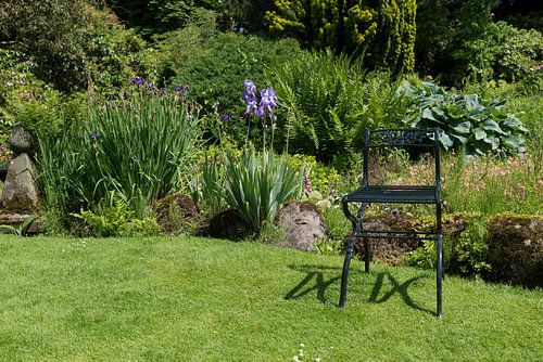 english garden with green metal chair as decoration in front of borders 