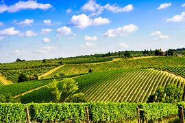 Tuscan hills by Dennis Carette