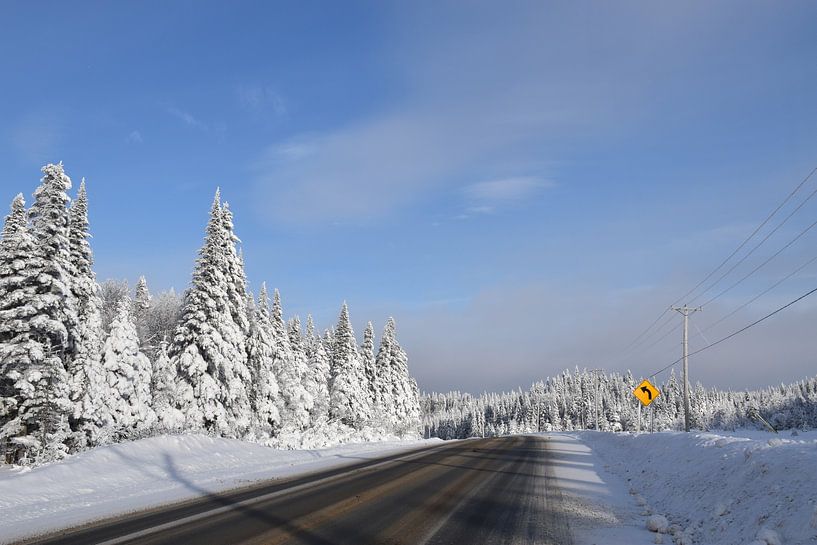 A country road in winter by Claude Laprise