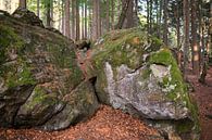 Felsen im Wald, Bayerischer Wald, Deutschland von Ger Beekes Miniaturansicht
