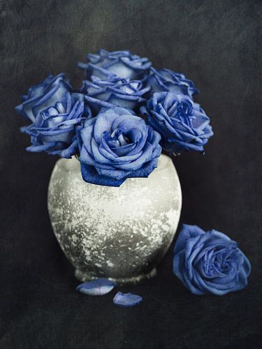 Blauwe rozen